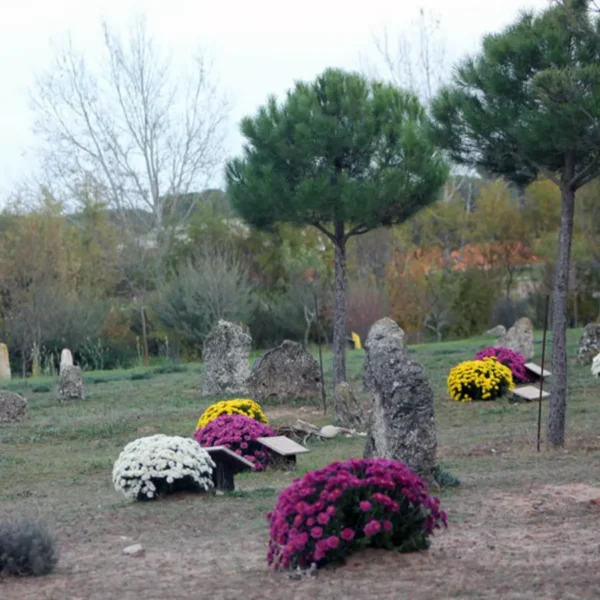 enterramientos-necropolis-las-ruedas-ofrendas-florales