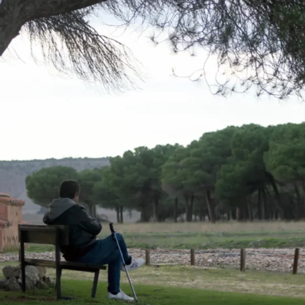 entorno-natural-necropolis-las-ruedas-banco