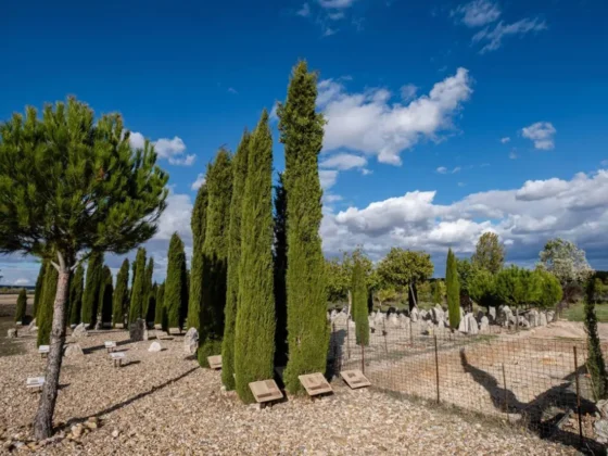 Las Ruedas, mejor cementerio de España